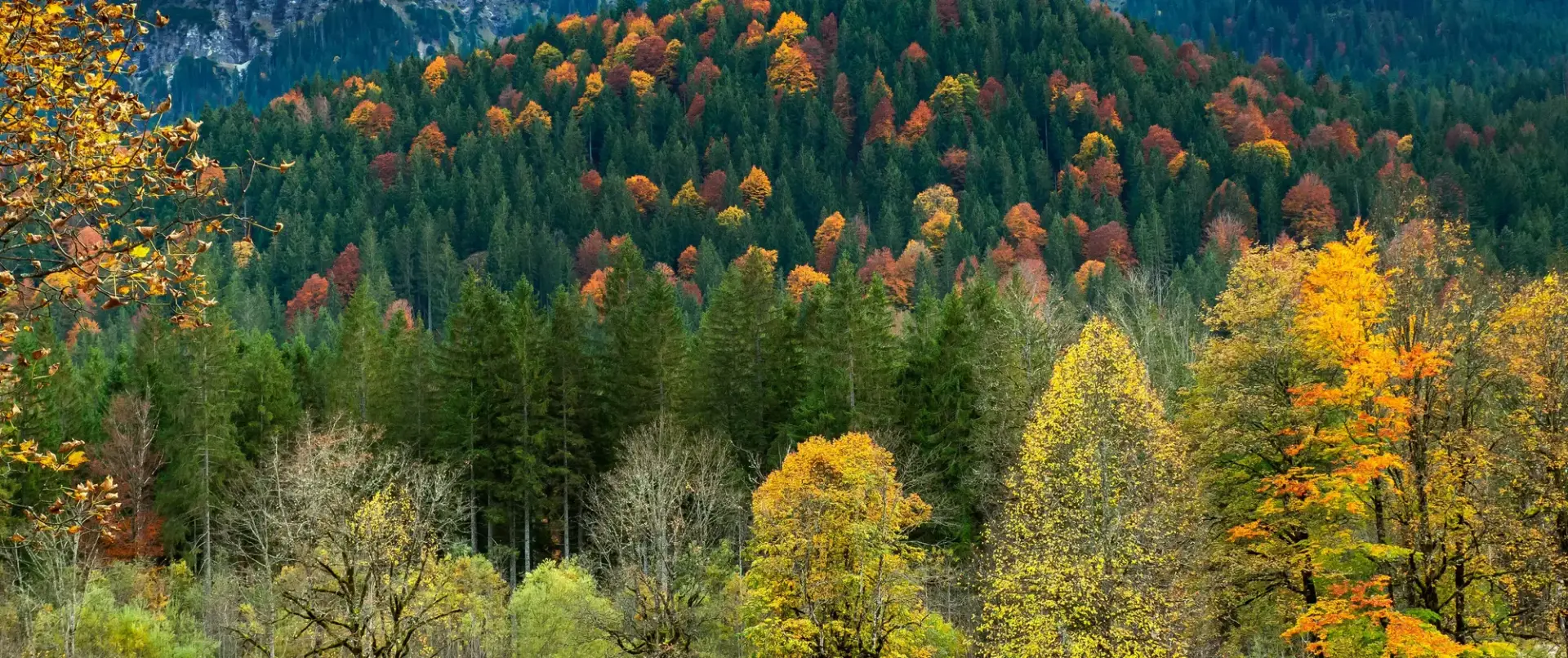 Alaska Behavioral Health Aides Explained